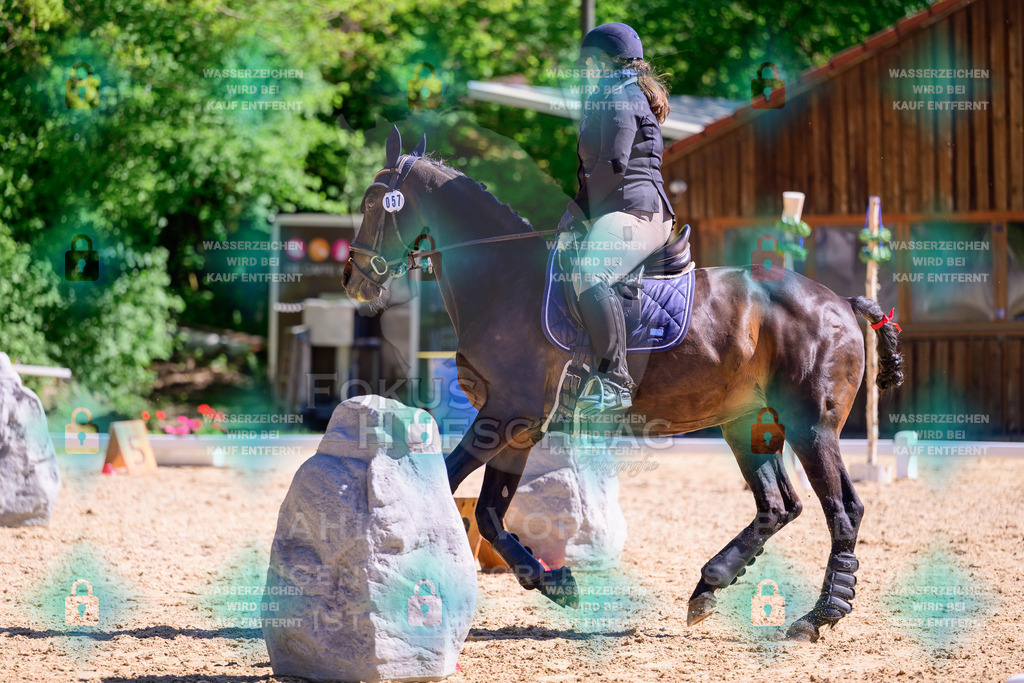 01052026-Giesenbach-02-Stiltrail-0549 | Fokus Hufschlag Fotografie - Realisiert mit Pictrs.com