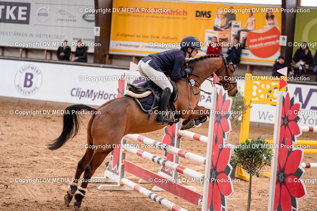 Kranichstein Tag 3-325 | dv-media-shop - Realisiert mit Pictrs.com