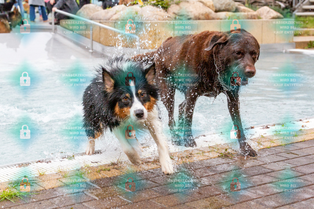 _HP_7456_1000o | HetPix, HetPix Fotodesign, Fotografie, Fotodesign, Webshop, Sportfotografie, Portraitfotografie, Onlineshop, Sportfotografie, Polch, Motorsportfotografie, Eventfotografie