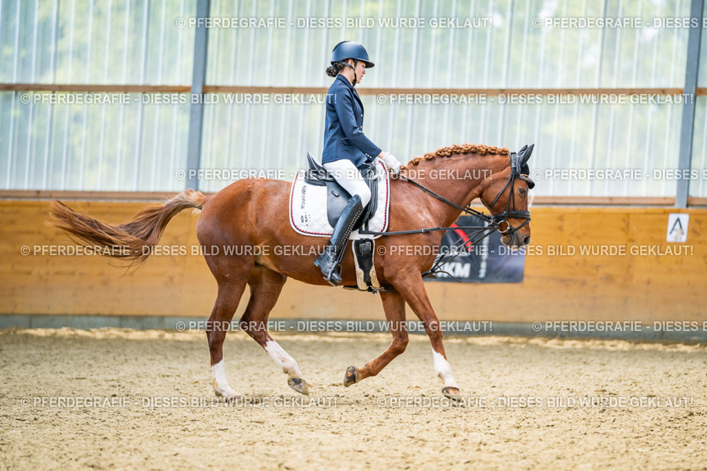 DSC04584 | Pferdegrafie