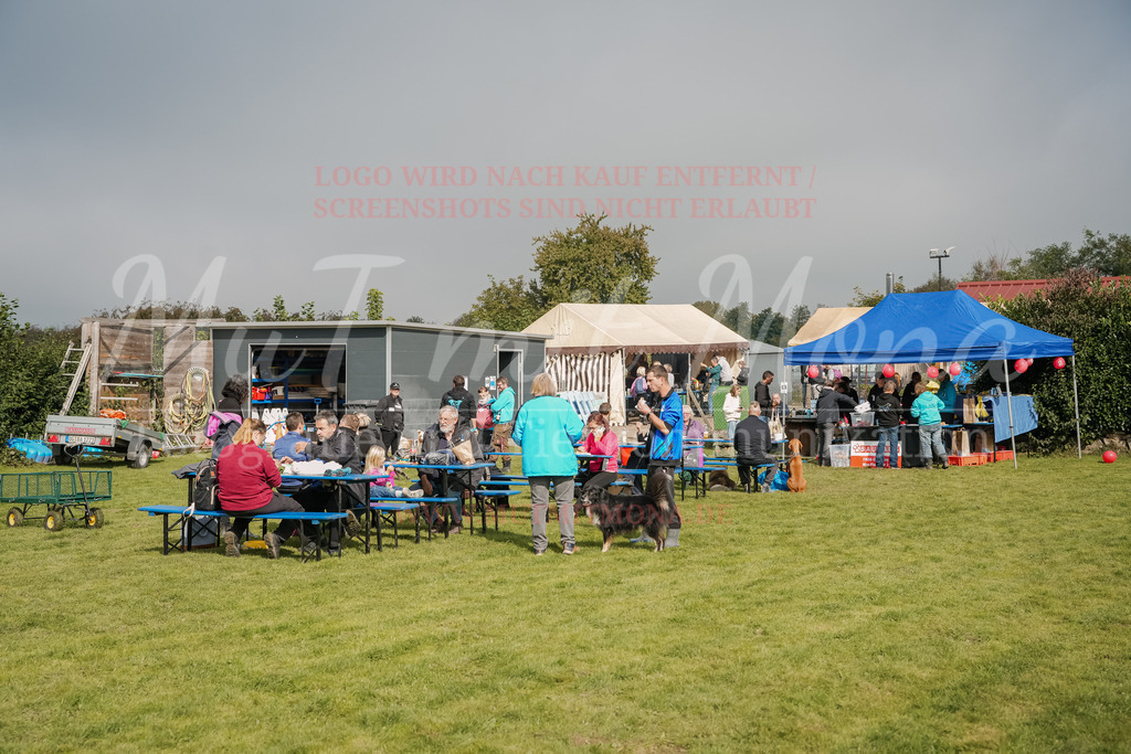 20250928_Hunderennen-352 | MuT (Mensch und Tier) mit Mona - Fotografie und Tierkommunikation - Realisiert mit Pictrs.com