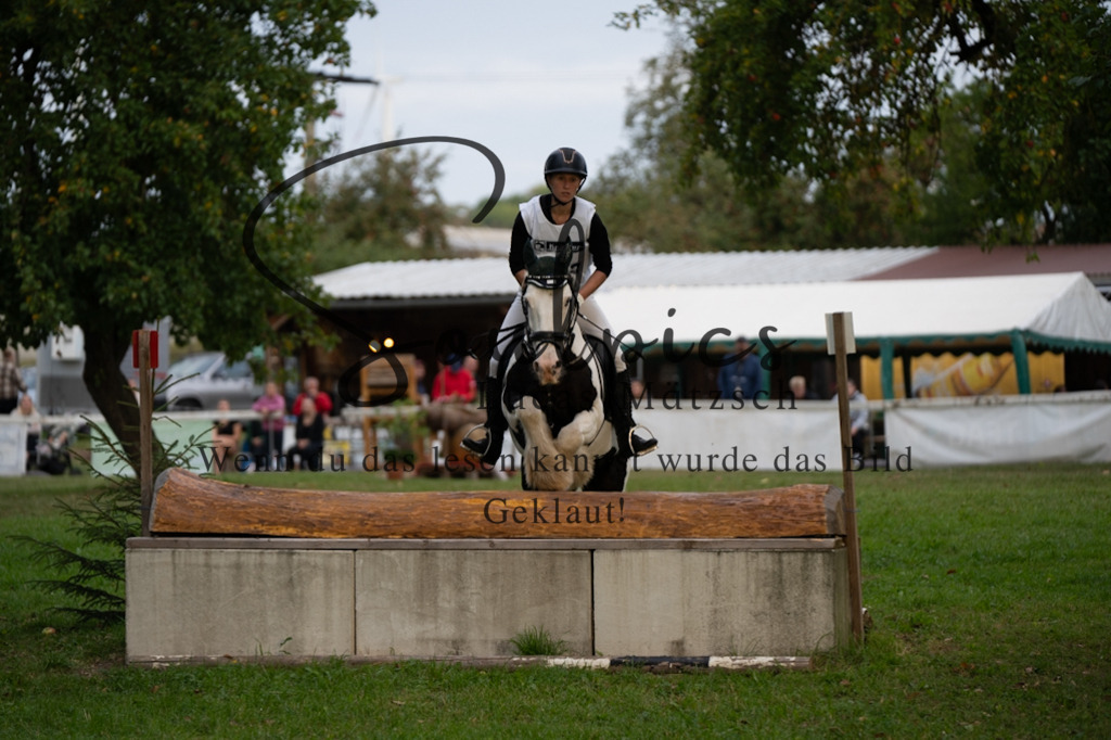 A7V02900 | Pferdefotograf