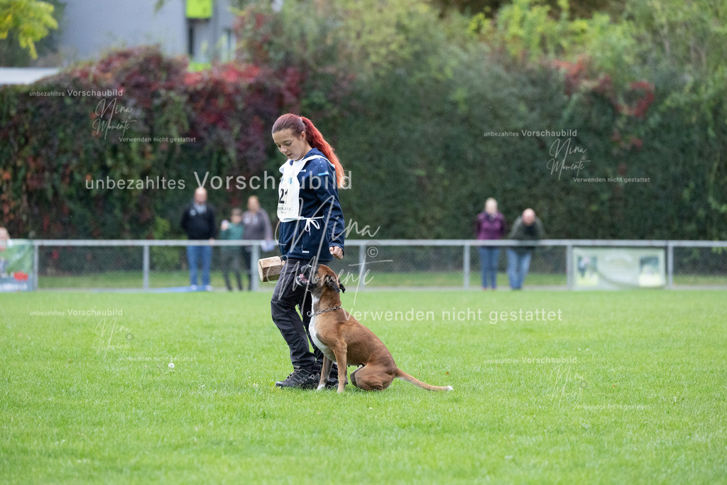 _16A4666 | Einzigartige Fotos von Hunden & Menschen –Actionfotos, Portraits, Vereinsaufnahmen & Paarshootings – authentisch, lebendig & mit Herz.