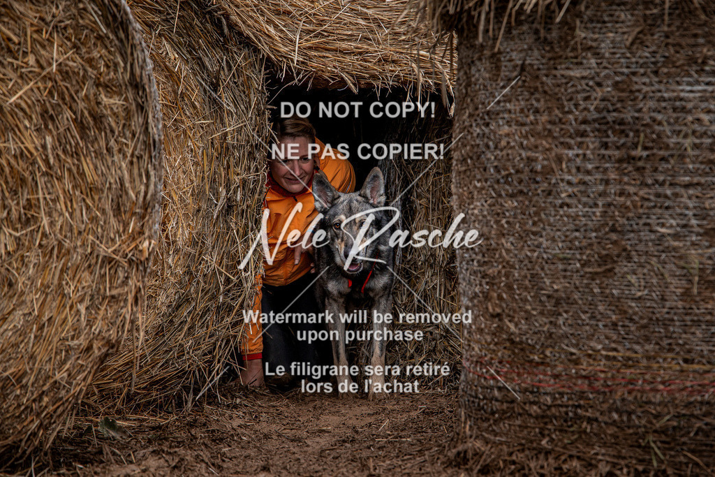 nelerasche_Hunsrück_So11-12_187 | nelerasche