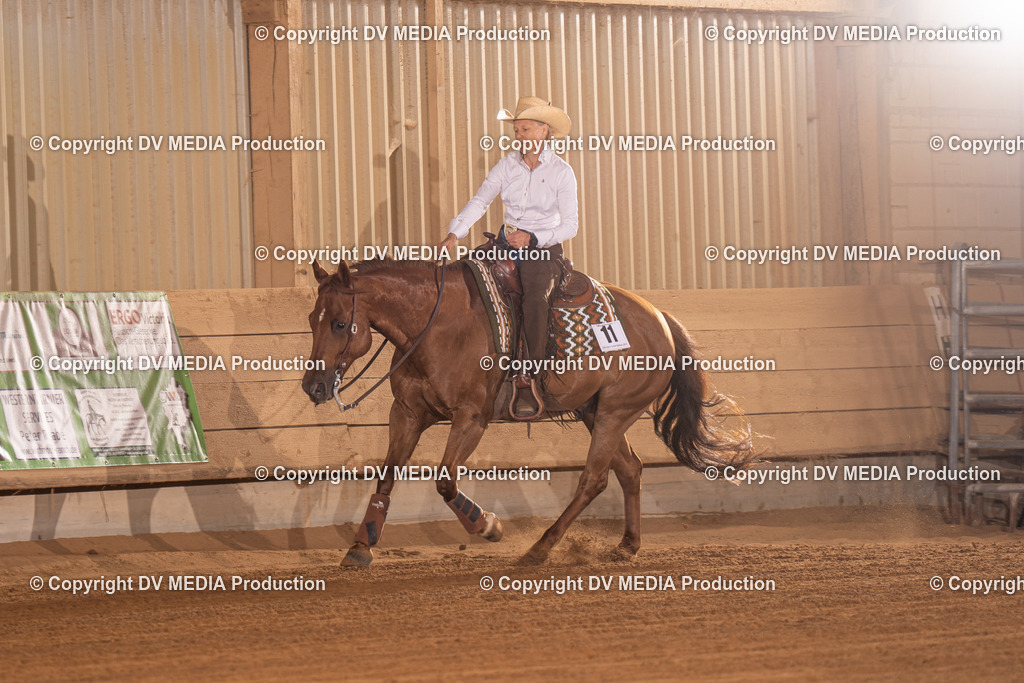 NID01181 | dv-media-shop - Realisiert mit Pictrs.com