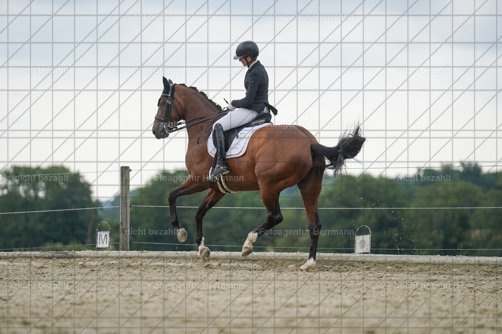 20230826-FAH06236 | Forstinning, 2023, Dressurturnier, Turniersportbilder, Turnierfotografen Bayern, Fotoagentur Herrmann, Reitsportfotografie, Turnierbilder