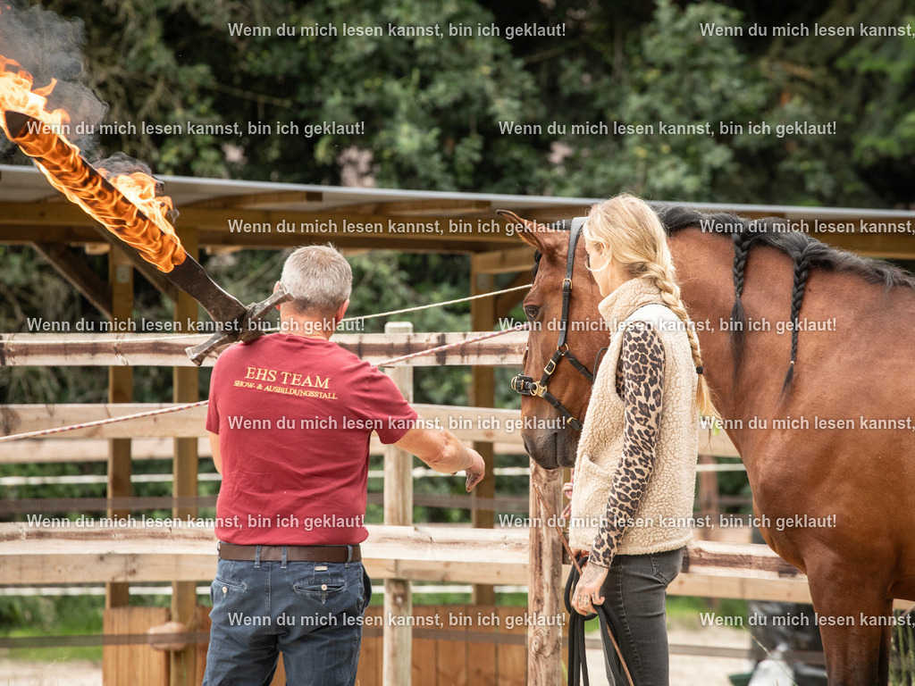 598A6156 | photographylinaismer - Realisiert mit Pictrs.com