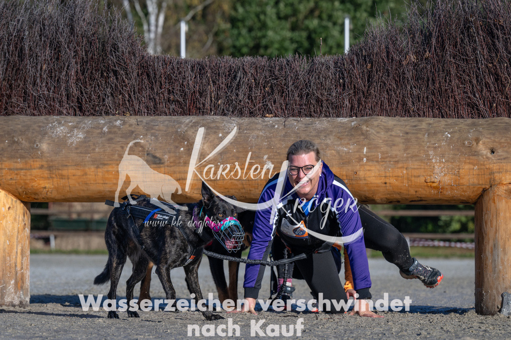 1034-_ZZ91698 | kk-dogfotos