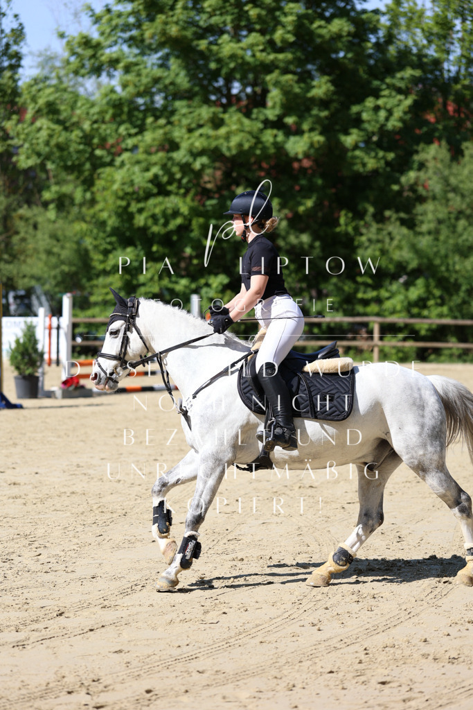 IMGS4600 | pl-fotografie