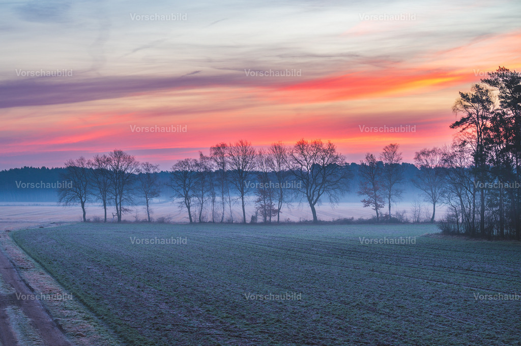 Fotoatelier Christian Hofmeister | Stadtlandschaften, sowie Makro-, Landschafts-, Natur- und Schwarzweißfotos aus der Region Celle & Umgebung