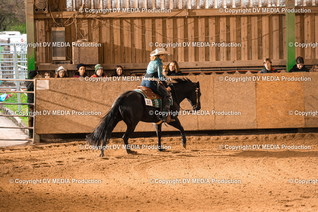 BAL01008 | dv-media-shop - Realisiert mit Pictrs.com