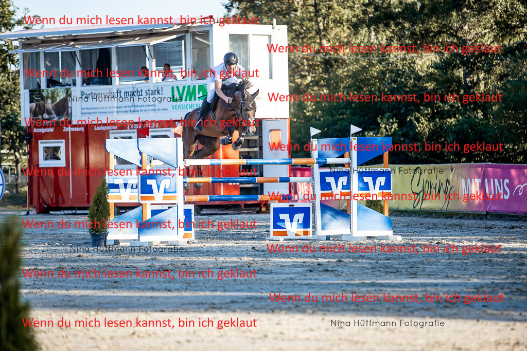 BK1A8508 | Turnierbilder Turnierfotos Nina Hüffmann Turnierfotografie Pferdefotografie Tierzeichnung Haustierzeichnung Pferdezeichnung Hundezeichnung Videograf  - Realisiert mit Pictrs.com