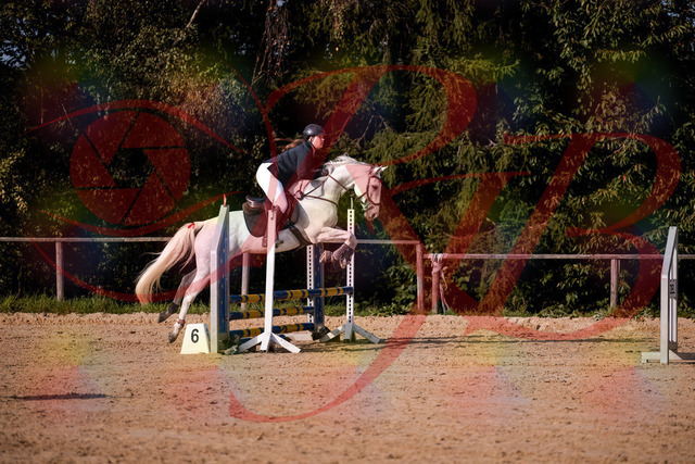 2026_10_03_Siefer-Hof_154007_Z81_56069672 | Professionelle Reitsport-, Turnier- und Eventfotografie von Robert Broda. Galerien mit ausgewählten und bearbeiteten Bildern direkt online ansehen und bestellen.