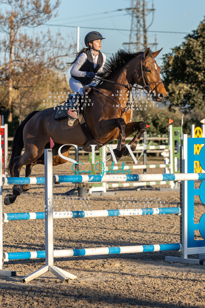 IMG_2829 | s-jay-photography - Realisiert mit Pictrs.com