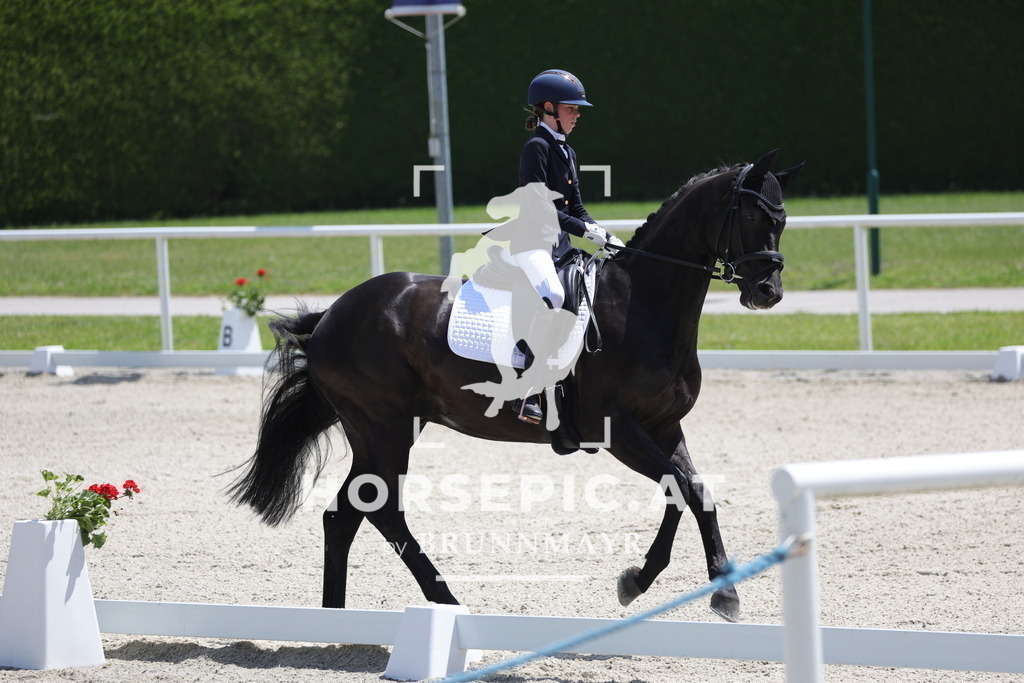 0P6A5658 | Willkommen bei Brunnmayr - Design & Fotografie – Ihrem Spezialisten für Reitturniere und Pferdeveranstaltungen in Oberösterreich, Salzburg und Bayern! Seit über 17 Jahren sind wir leidenschaftlich dabei.