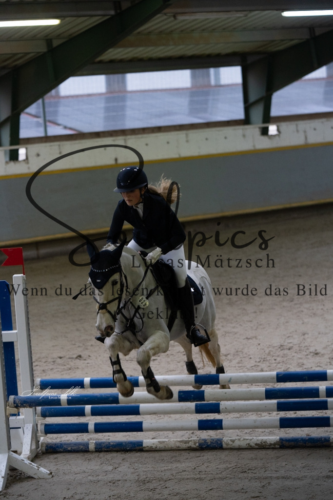 A7V00781 | Pferdefotograf