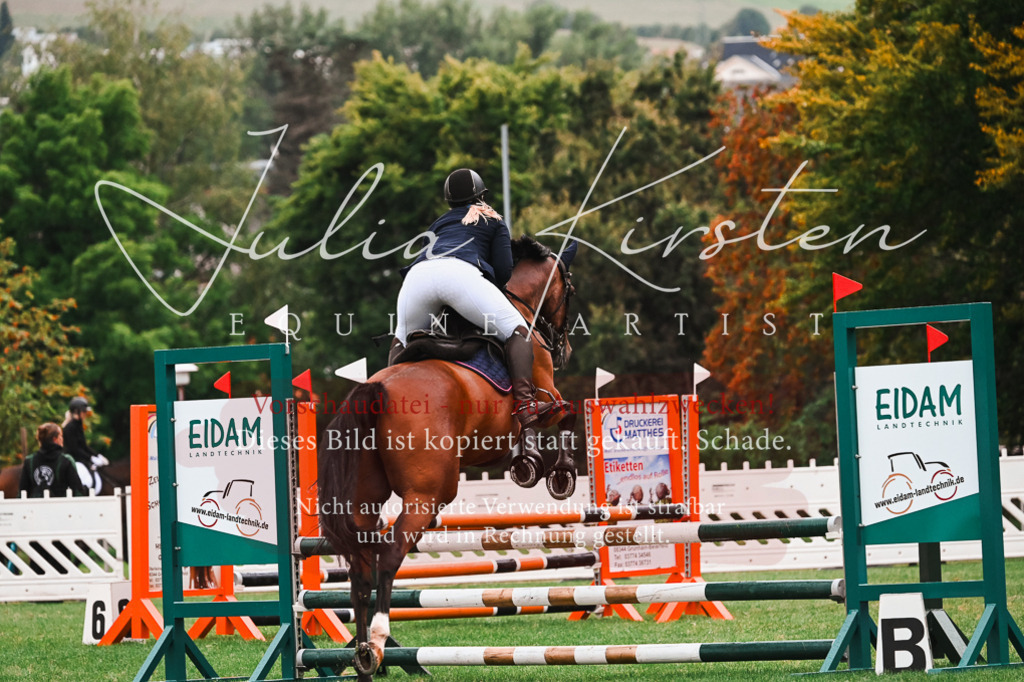 DSC_6486 | Pferde- und Turnierfotografie in Westsachsen. Pferdeportraits, Auftragszeichnungen und intuitive Kunst.