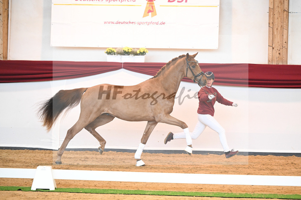 Kat-Nr. 52 v. Vaderland_Galneder_66220713 | hf-fotografie - Realisiert mit Pictrs.com