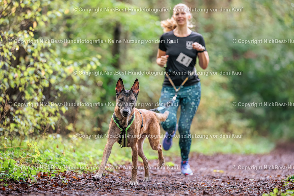 THS-HSV-Blumenthal-2026-Nickbest-Hundefotografie-0549 | Dein Hund! Dein Moment! Deine Erinnerungen! Hundefotografie in Bremen Blumenthal. Ich fange die besonderen Momente deines Vierbeiners ein – ob Indoor mit Blitzanlage oder in der freien Natur. Sicher dir dein Moment und dein Termin für eure Erinnerungen.