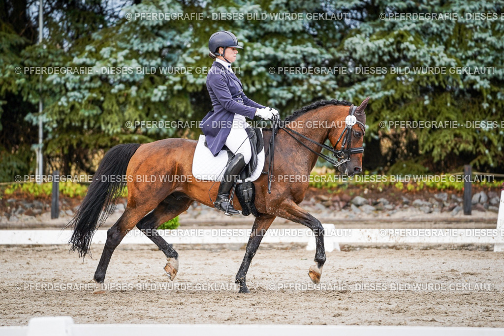 DSC00218 | Pferdegrafie