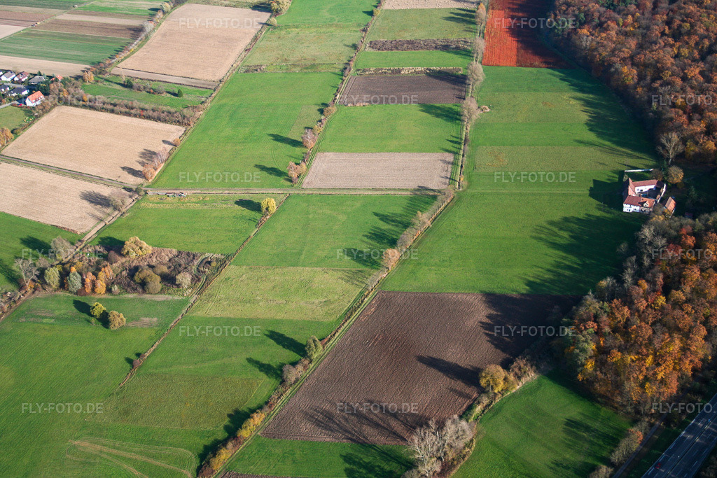 Luftbild: Erlenbachtal Herrenmühle in Erlenbach bei Kandel im Bundesland Rheinland-Pfalz in Deutschland. Foto: IMG_14497.jpg vom 08.11.2008 durch Werner Riehm/FLY-FOTO.de