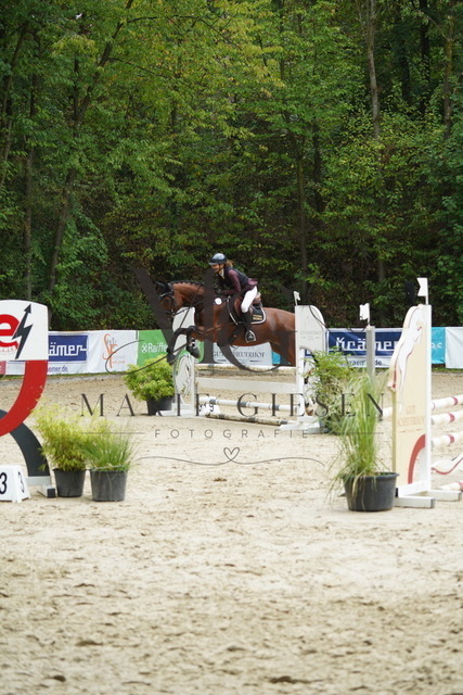 VAN08397 | Marie Giesen Fotografie - Realisiert mit Pictrs.com
