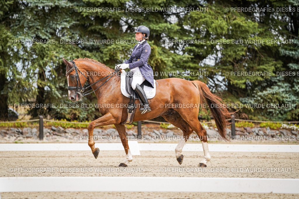 DSC04889 | Pferdegrafie