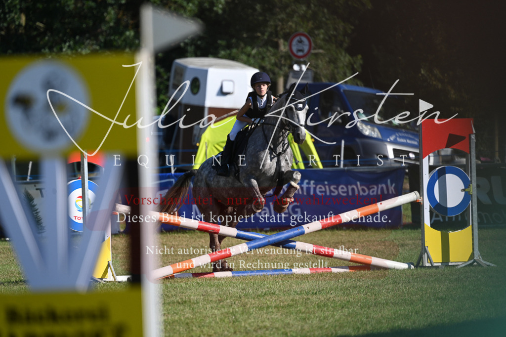 DSC_5053 | Pferde- und Turnierfotografie in Westsachsen. Pferdeportraits, Auftragszeichnungen und intuitive Kunst.