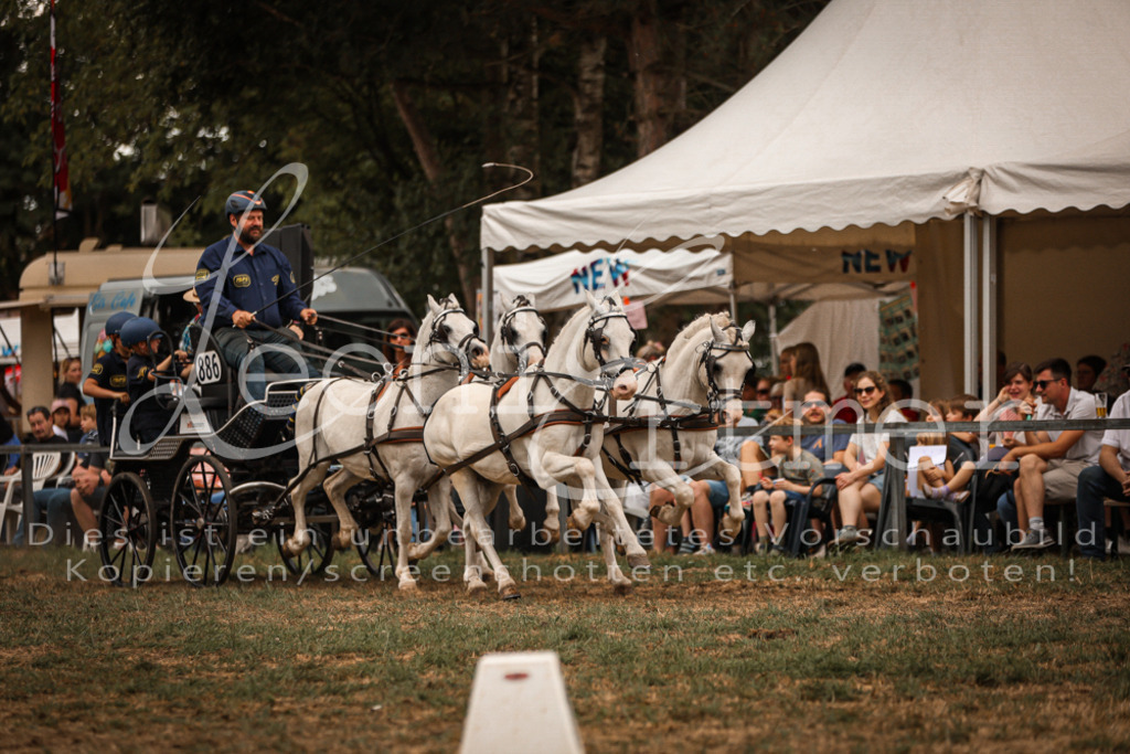 SoShow00302 | Leoni Ertmer Photography - Realisiert mit Pictrs.com