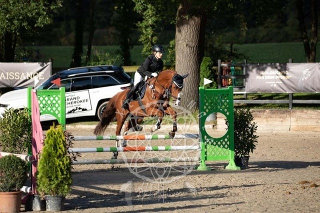 2B4A3953 | pixelfaenger - Realisiert mit Pictrs.com