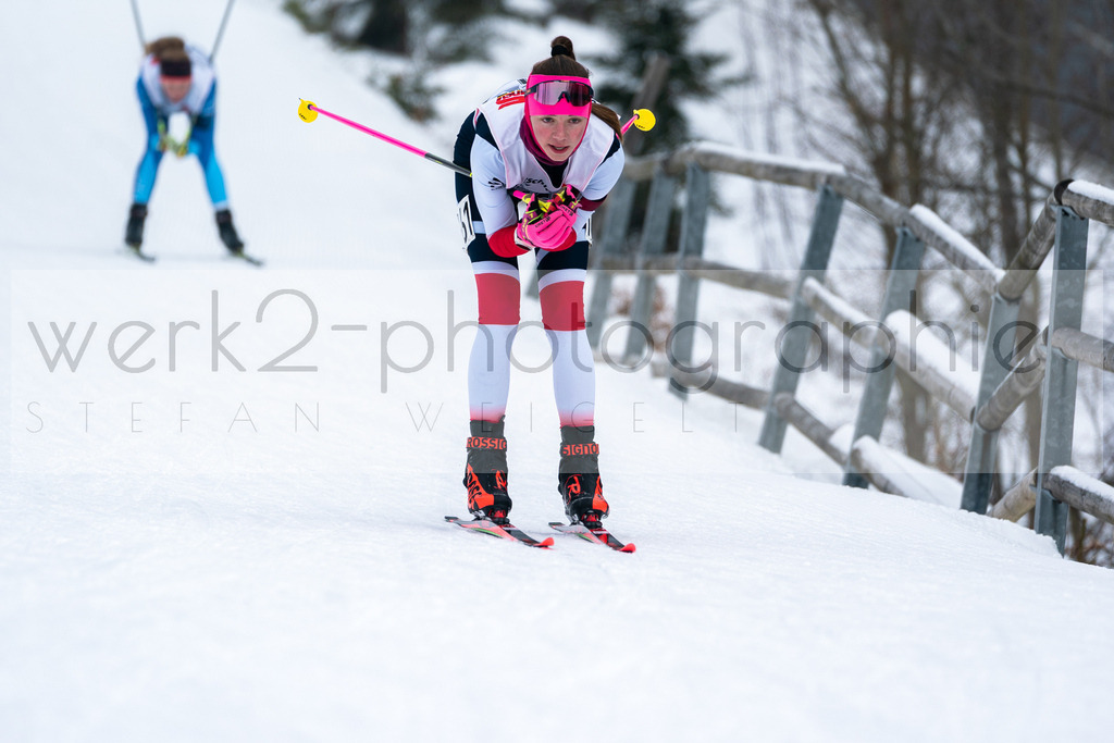 DSC Arber | Bayerischer Wald am 15. und 16. Januar 2022