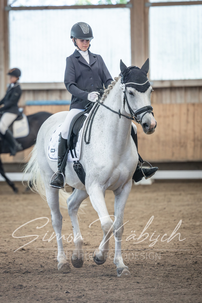 20251011-_3LI7786 | Tierfotografie Pferde, Hunde, Katzen, Haustiere.
Turnierfotografie Reitturniere, Reiten, Springreiten, Dressur in Hanau, dem Main-Kinzig-Kreis und dem Rhein-Main- Gebiet um Frankfurt