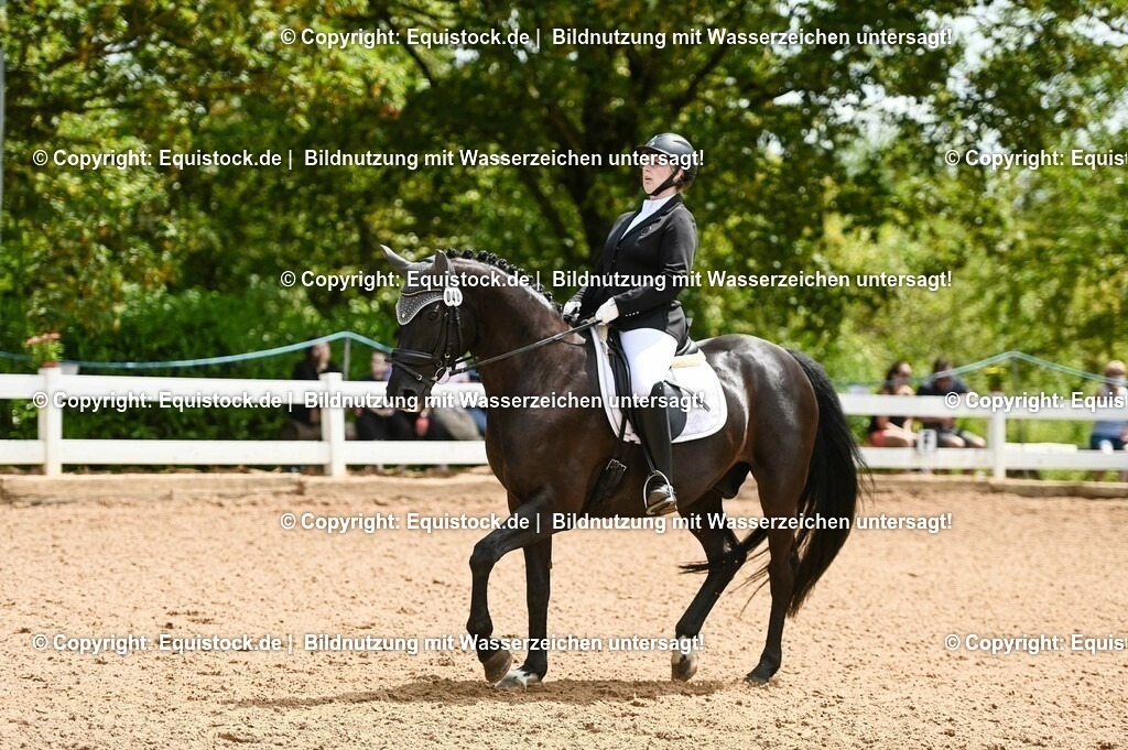 20230716_03_Dressurprfg. Kl.L - Tr._0180 | equistock