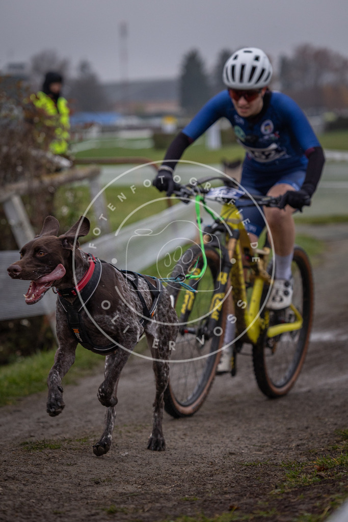 CaniXpix_0L8A1641 | Hundefotografie, Tierfotograf, Pfotenfotografie, Fotoshooting Hund, Hunde Portrait, Hundesport, Hundeportraits, Heideshooting, Hunde, Sportfotograf, Hundefotograf, Turnierhundsport, THS,  - Realisiert mit Pictrs.com