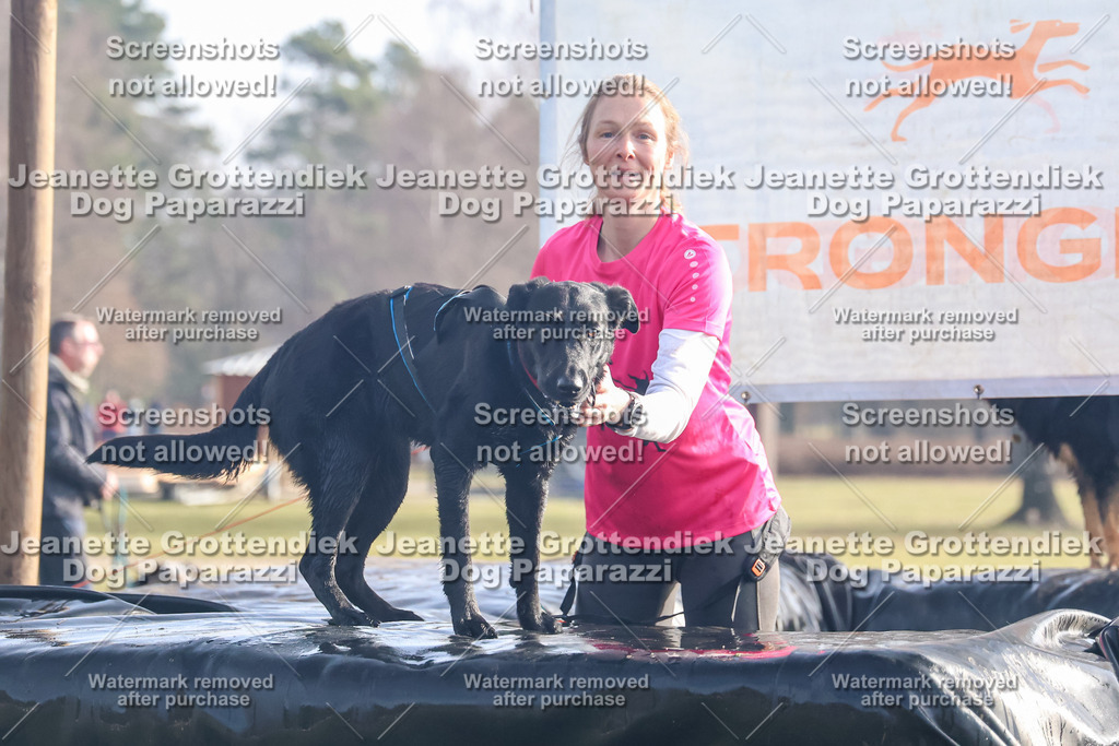 Dog Paparazzi - Strongdog North Mrz26-214 | Dog Paparazzi Jeanette Grottendiek Fotografie & Videografie - Realisiert mit Pictrs.com