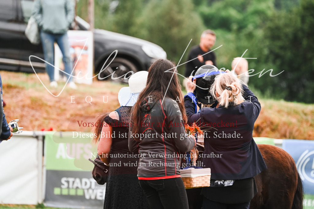 DSC_7450 | Pferde- und Turnierfotografie in Westsachsen. Pferdeportraits, Auftragszeichnungen und intuitive Kunst.