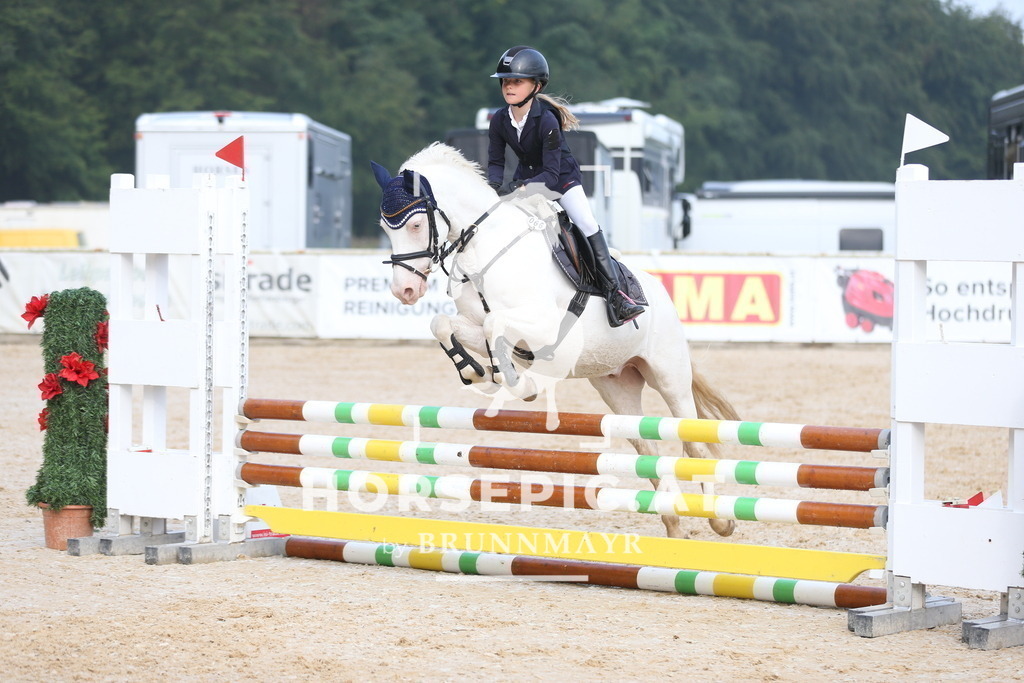 AS8V1192 | Willkommen bei Brunnmayr - Design & Fotografie – Ihrem Spezialisten für Reitturniere und Pferdeveranstaltungen in Oberösterreich, Salzburg und Bayern! Seit über 17 Jahren sind wir leidenschaftlich dabei.