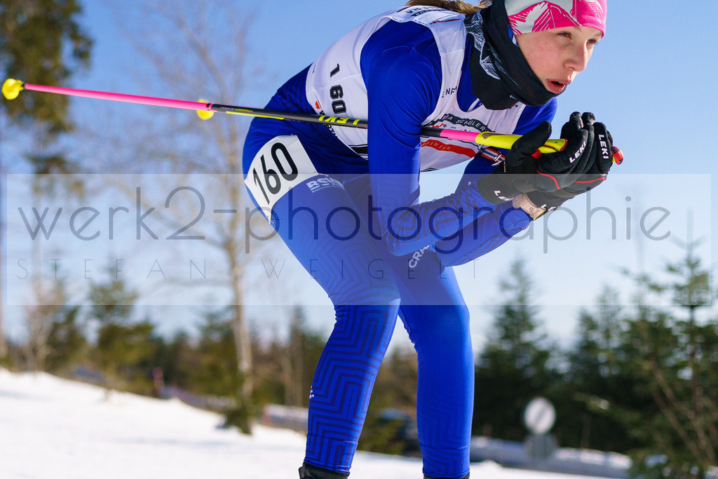 DSC Arber | Bayerischer Wald am 9. bis 12. Februar 2023
