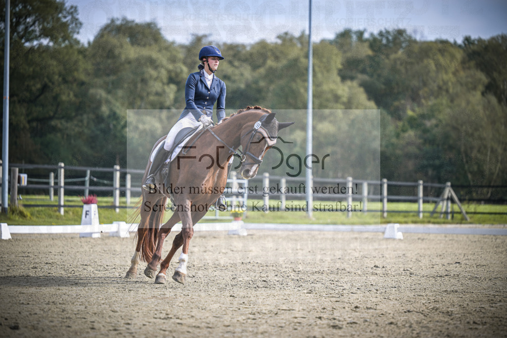 DOS_B631 | Entdecke hochwertige Reitturnierfotos von Foto Oger. Professionell, emotional und authentisch – jetzt Lieblingsmomente im Shop bestellen.Deutschlandweite Turnierfotografie. - Realisiert mit Pictrs.com