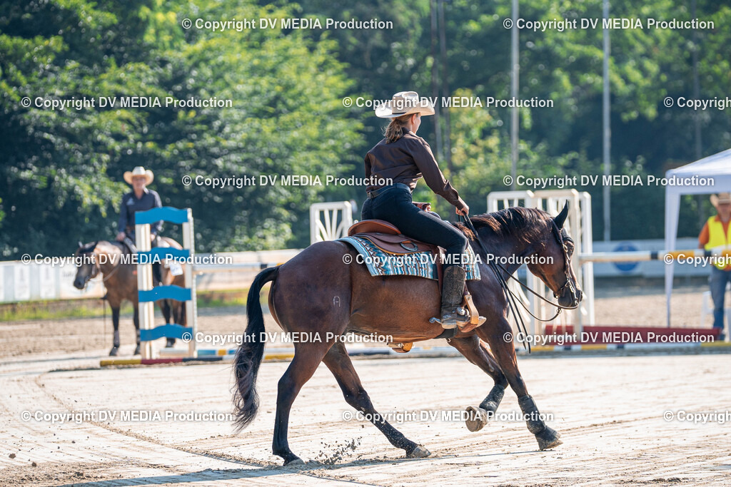 Zeiskam Tag 2-210 | dv-media-shop - Realisiert mit Pictrs.com