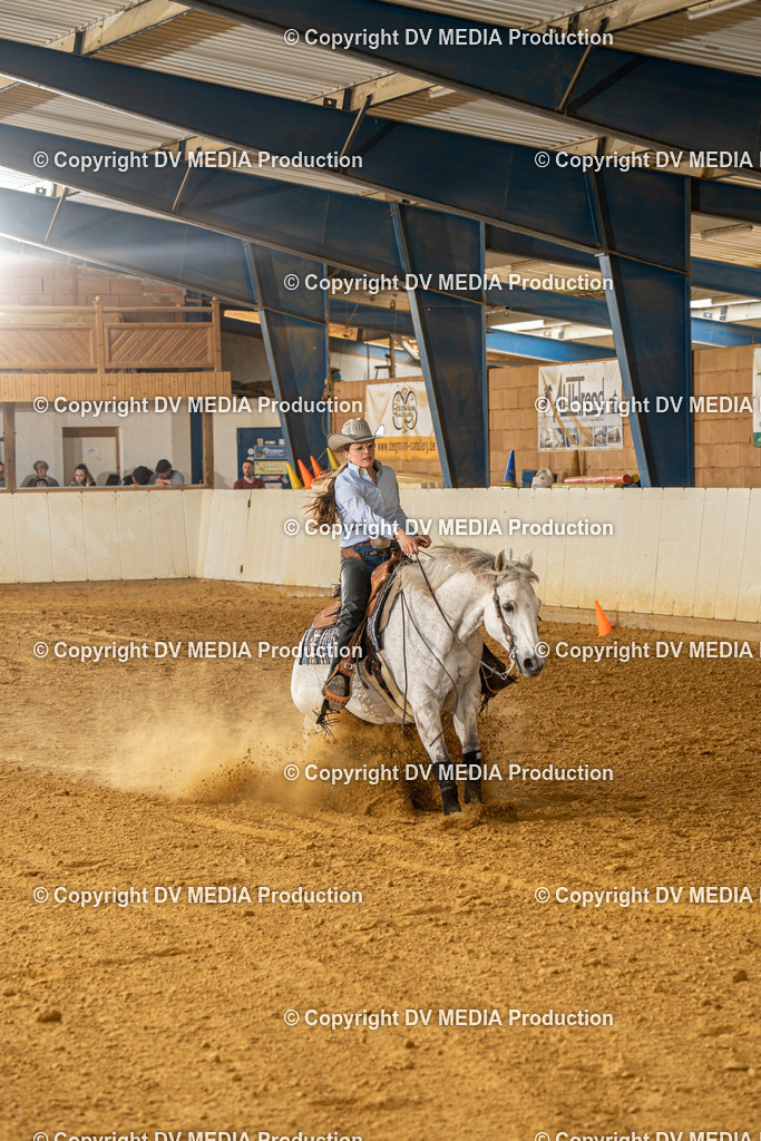 MIT01348 | dv-media-shop - Realisiert mit Pictrs.com