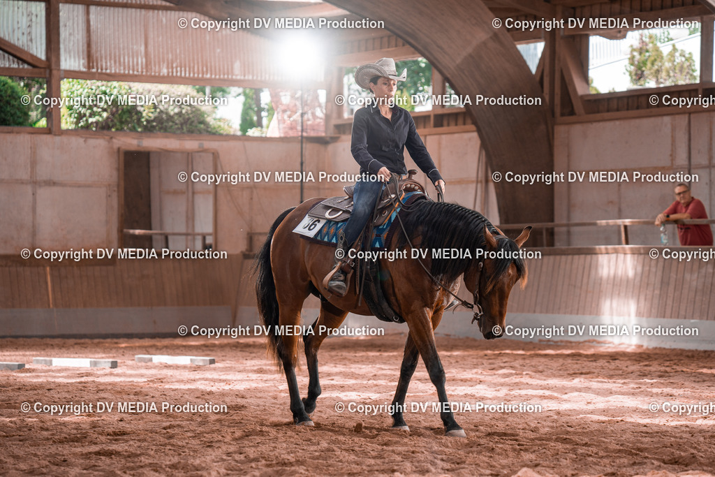 NE100566 | dv-media-shop - Realisiert mit Pictrs.com