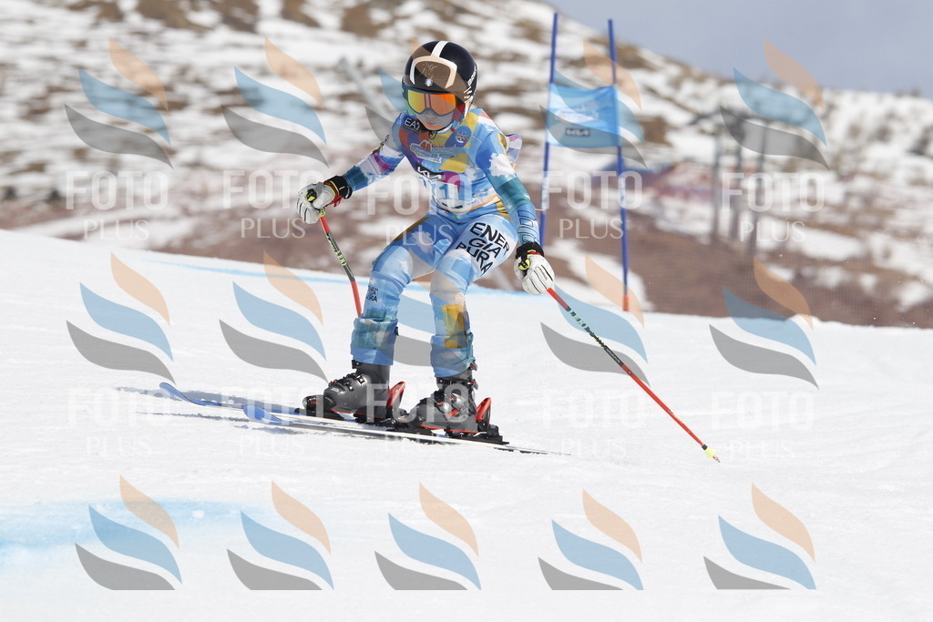 _U3G1565 | holidayphoto