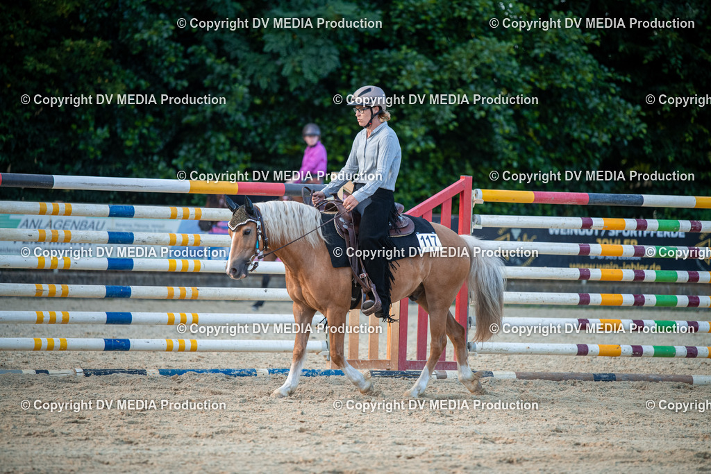 EWP_7290 | dv-media-shop - Realisiert mit Pictrs.com