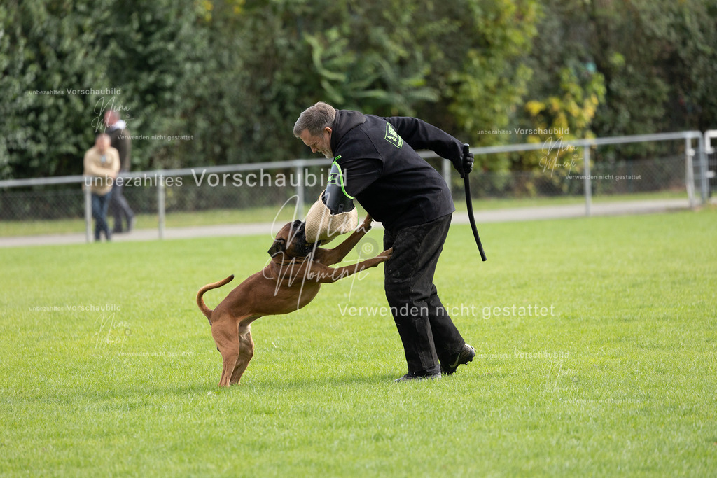 _16A7075 | Einzigartige Fotos von Hunden & Menschen –Actionfotos, Portraits, Vereinsaufnahmen & Paarshootings – authentisch, lebendig & mit Herz.