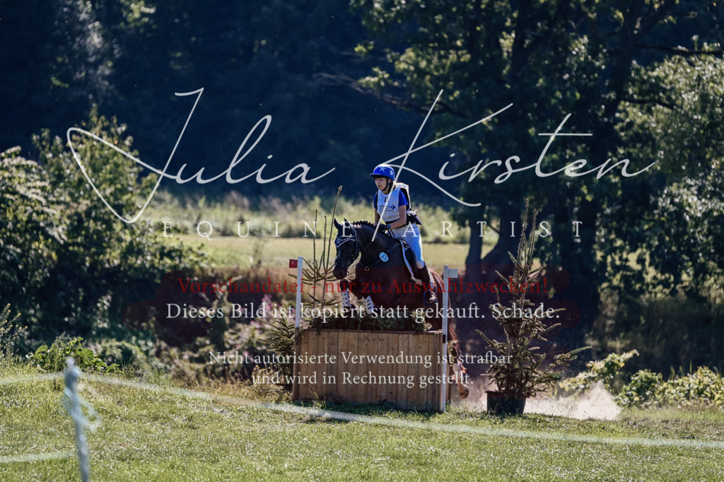 DSC_1670 | Pferde- und Turnierfotografie in Westsachsen. Pferdeportraits, Auftragszeichnungen und intuitive Kunst.