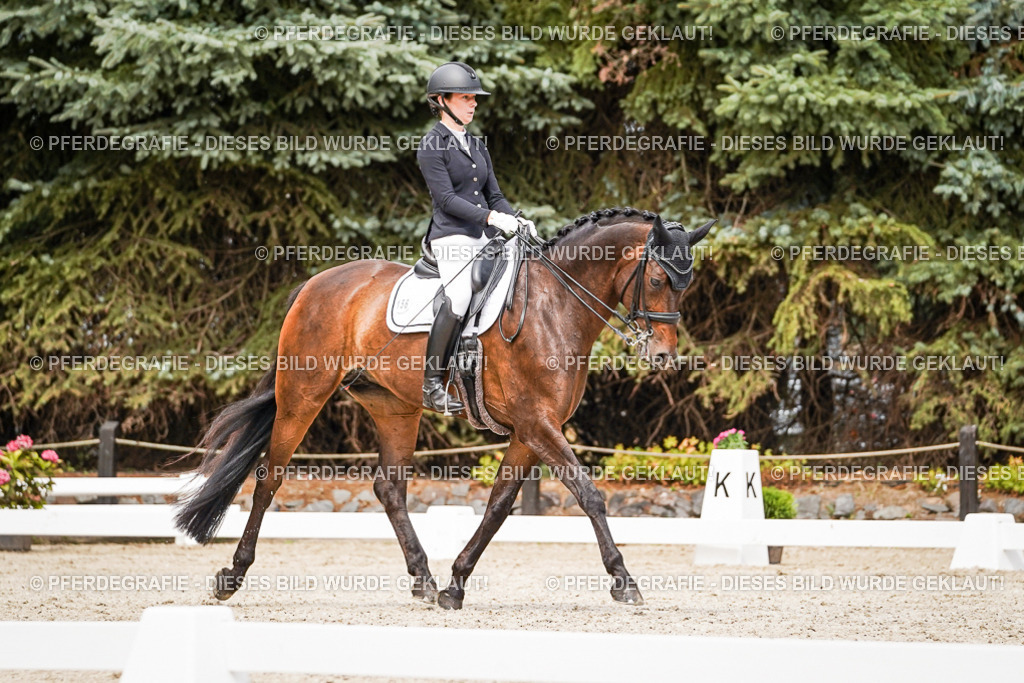 DSC05882 | Pferdegrafie