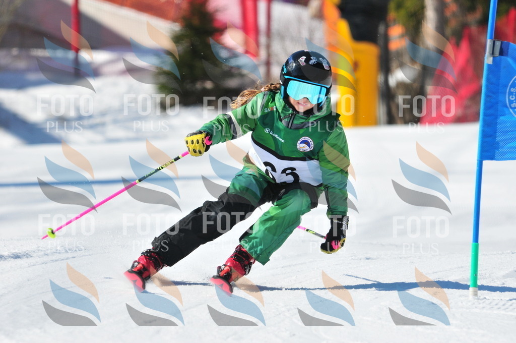 C2964 | holidayphoto