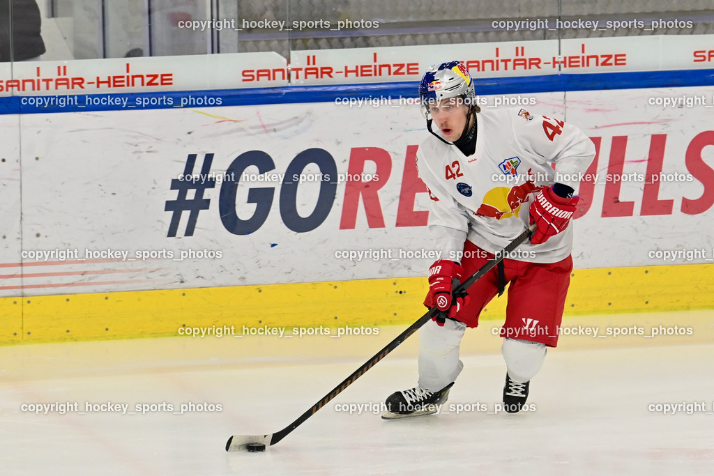 RED BULL HOCKEY JUNIORS vs. EK DIE ZELLER EISBÄREN | #42 Lanzinger Florian RED BULL HOCKEY JUNIORS, RED BULL HOCKEY JUNIORS vs. EK DIE ZELLER EISBÄREN, RED BULL HOCKEY JUNIORS vs. EK DIE ZELLER EISBÄREN am 14.01.2025 in Salzburg (Eisarena Salzburg), Austria, (Photo by Bernd Stefan)