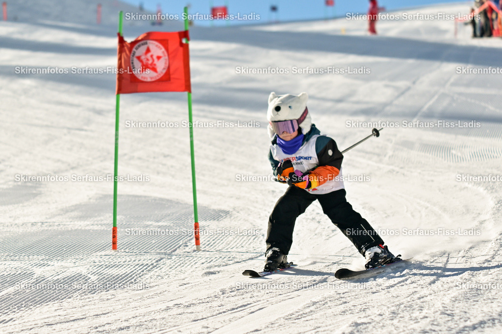 SRS_30.01.2026_0072 | SRS_30.01.2026_0072 - Realisiert mit Pictrs.com